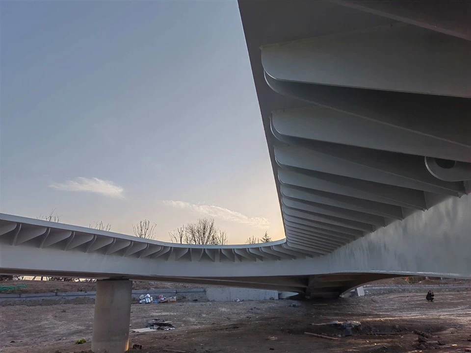 ​Sculptural Bridges